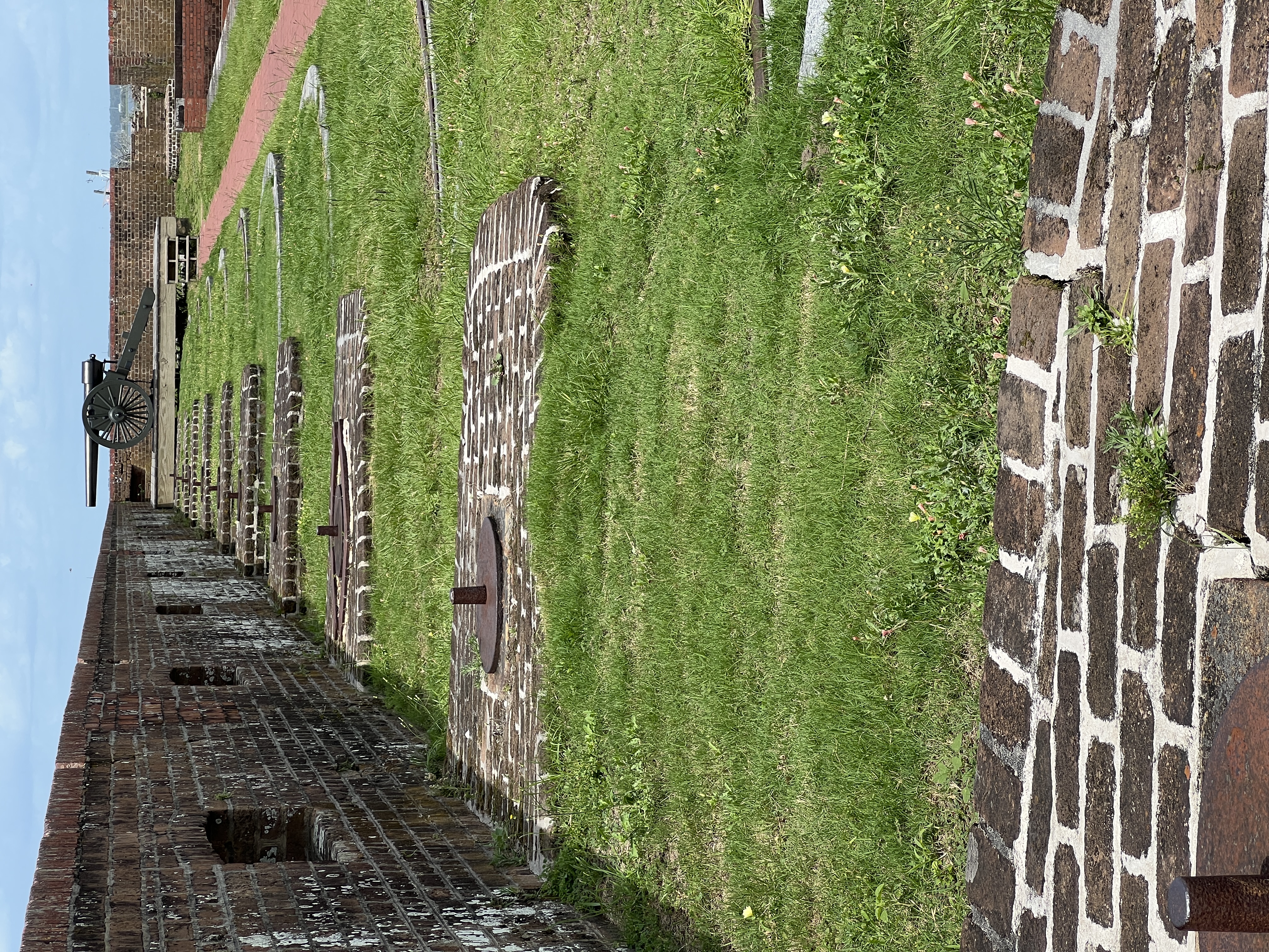 ./2025/06 - Savannah/IMG_5755.JPG